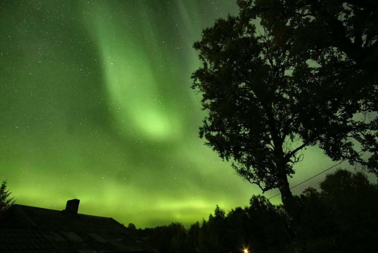 Вилла Karistua Hansnes Экстерьер фото